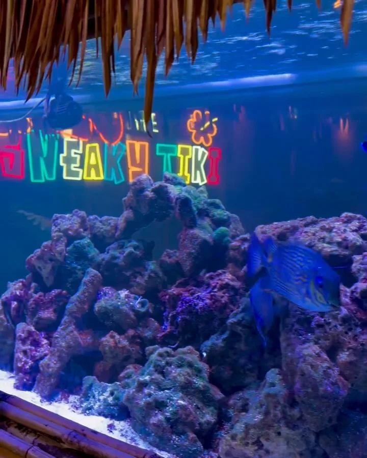 A glowing reef aquarium with coral and fish under a thatch overhang