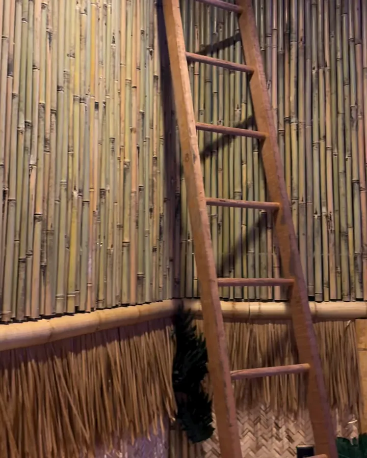 A bamboo wall over a thatch skirt, with a wooden ladder leaning against it